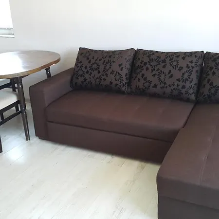 Apartment Viktor *